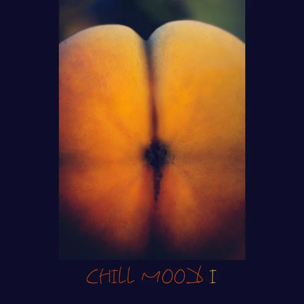 Chill Mood - 1 album